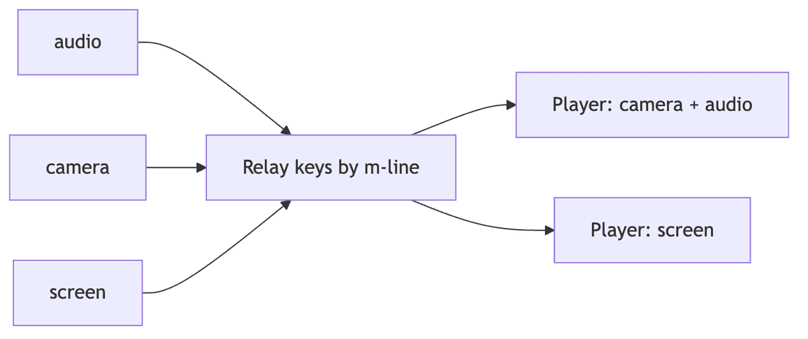 The relay routes each m-line, audio, camera and screen, to the right place