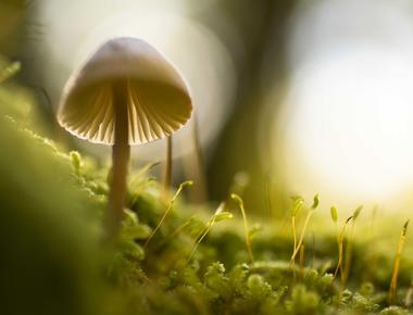 Nailing the WebRTC Call Start