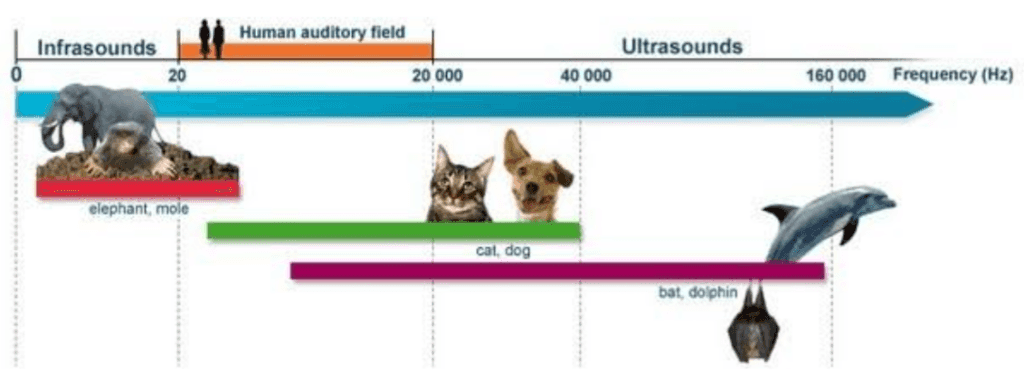 Human Range